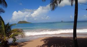 EIn Blick über das Karibische Meer - im Vordergrund der Strand mit einigen Palmen - im Hintergrund eine Insel mit einem Berg im Meer